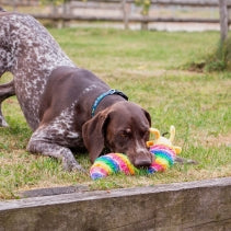 Cuddle Psychedelic Slug