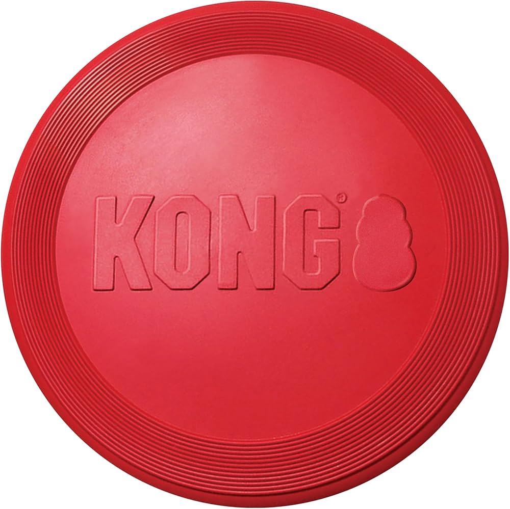 KONG Flyer