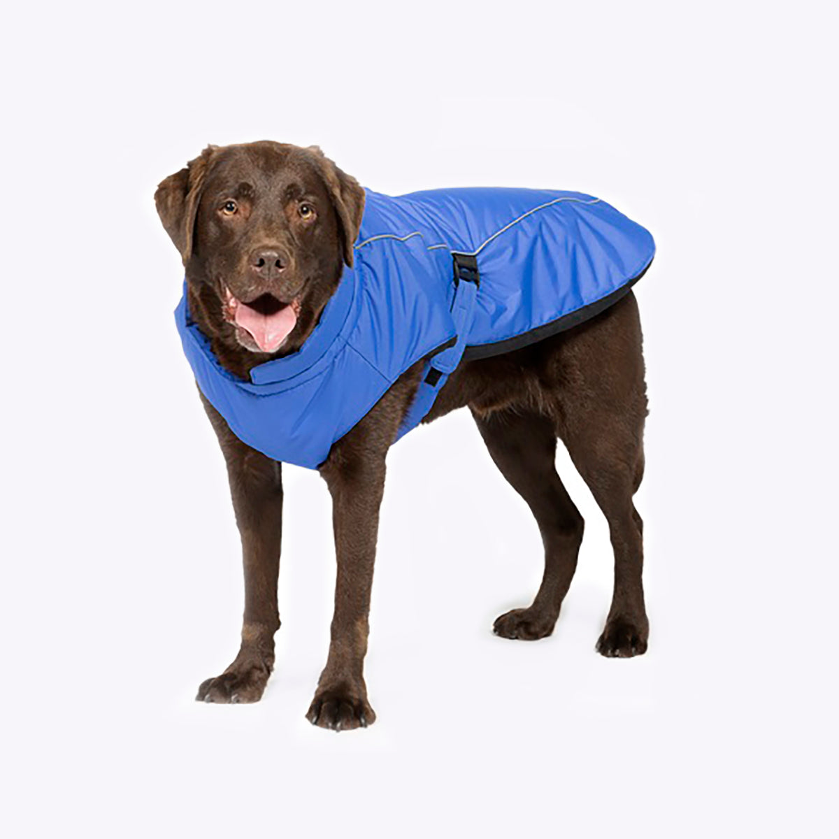 DANISH DESIGHN SPORTS LUXE DOG COAT BLUE 45CM