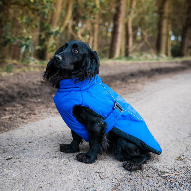 DANISH DESIGHN SPORTS LUXE DOG COAT BLUE 45CM