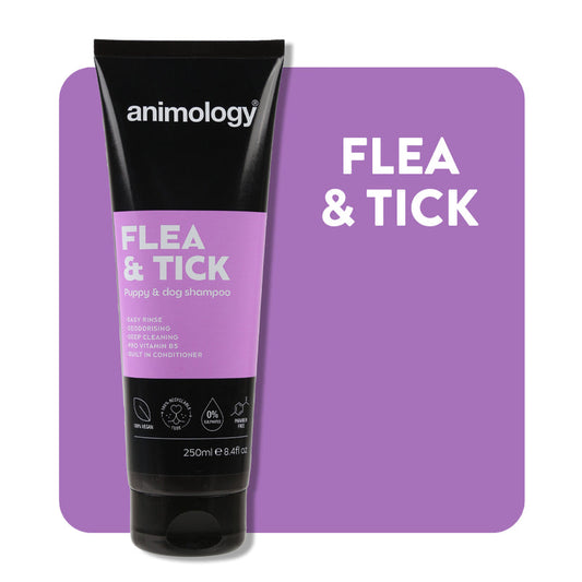 ANIMOLOGY FLEA & TICK PUPPY & DOG SHAMPOO 250ml