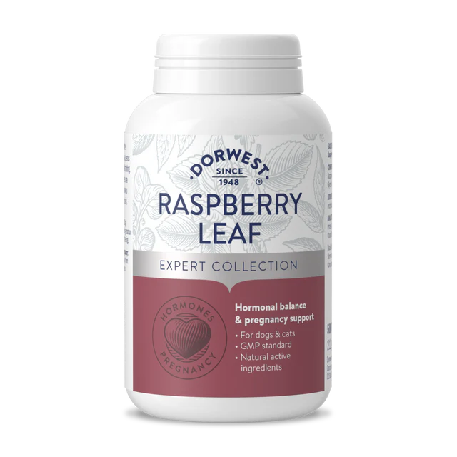 Raspberry Leaf Tablets For Dogs And Cats