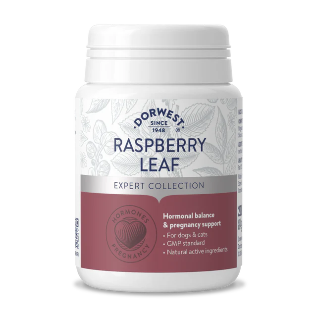 Raspberry Leaf Tablets For Dogs And Cats