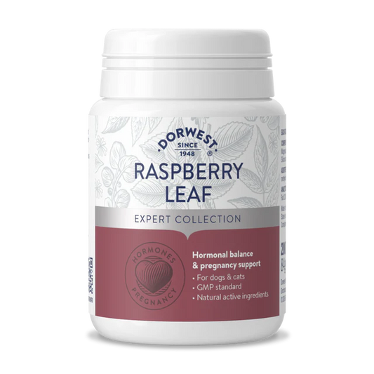 Raspberry Leaf Tablets For Dogs And Cats