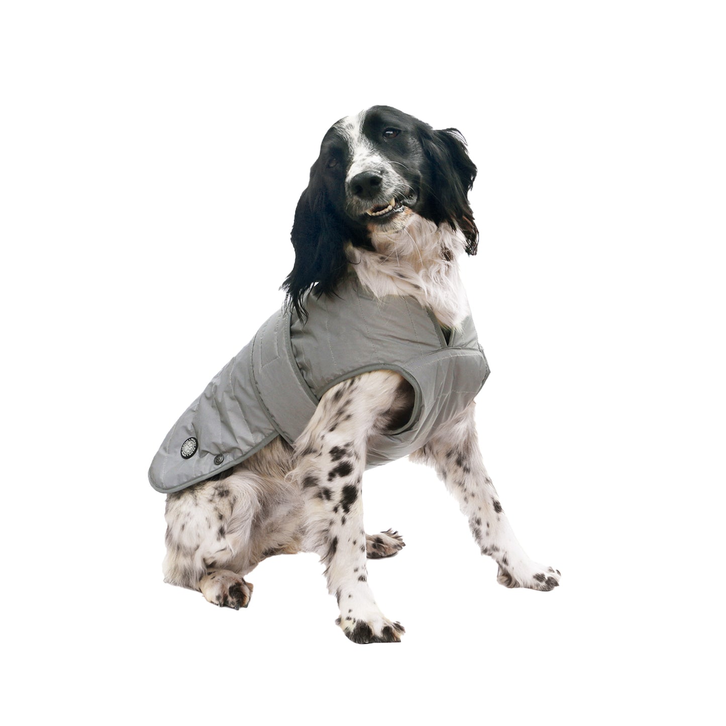 ANCOL MUDDY PAWS ULTIMATE REFLECTIVE DOG COAT