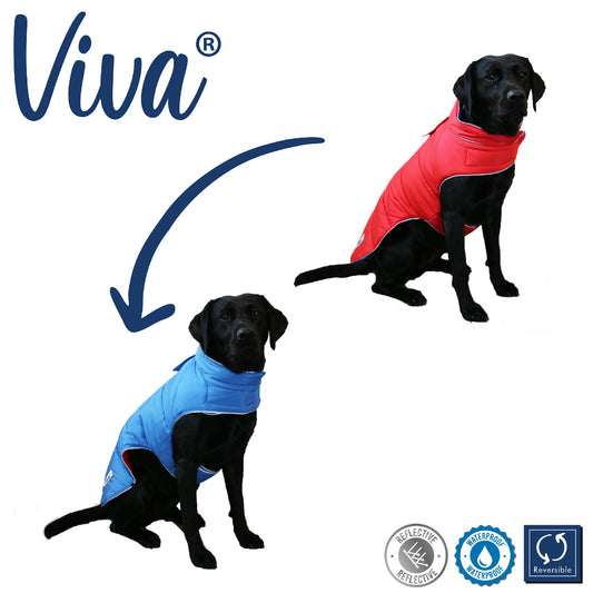 ANCOL VIVA REVERSIBLE COAT RED/BLUE