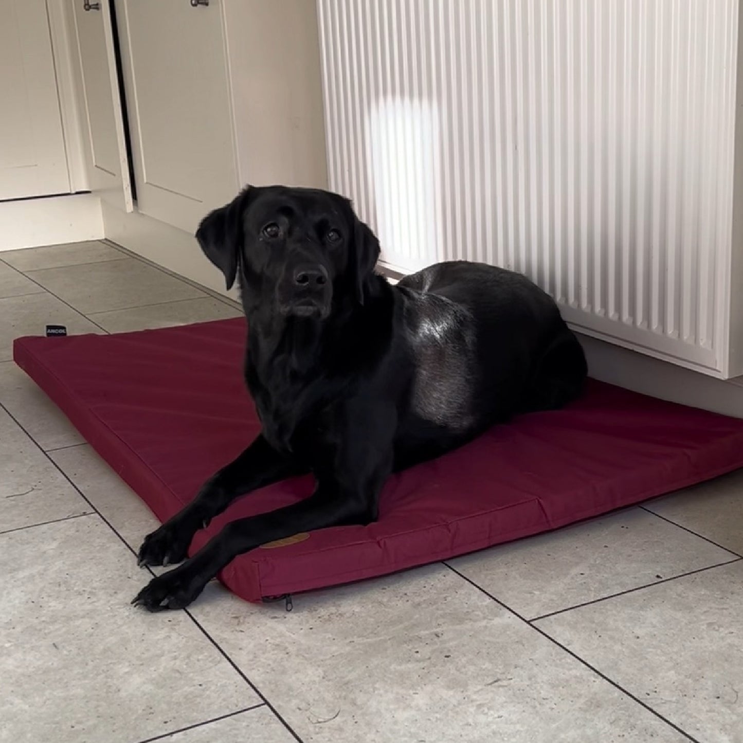 WATERPROOF PAD BED BURGUNDY 5 sizes availble