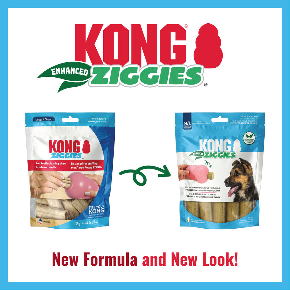 KONG ZIGGIES