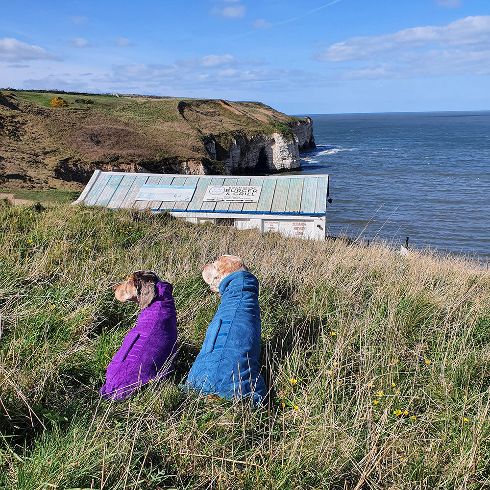 Mutt and Bailey Dog Drying Coat