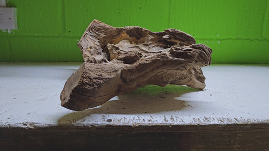 BOGWOOD BOG145