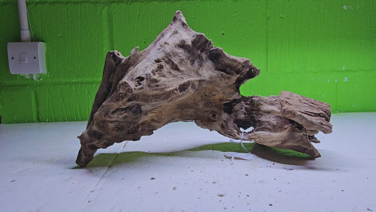 BOGWOOD BOG210