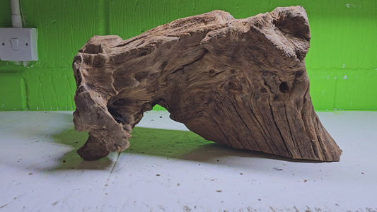 BOGWOOD BOG123