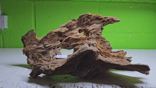 BOGWOOD BOG130