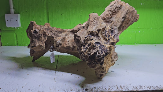 BOGWOOD BOG122