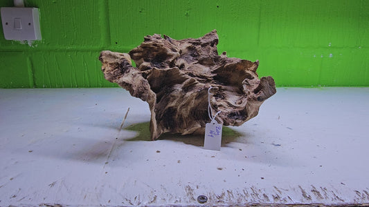 BOGWOOD BOG169