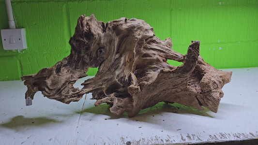 BOGWOOD BOG106