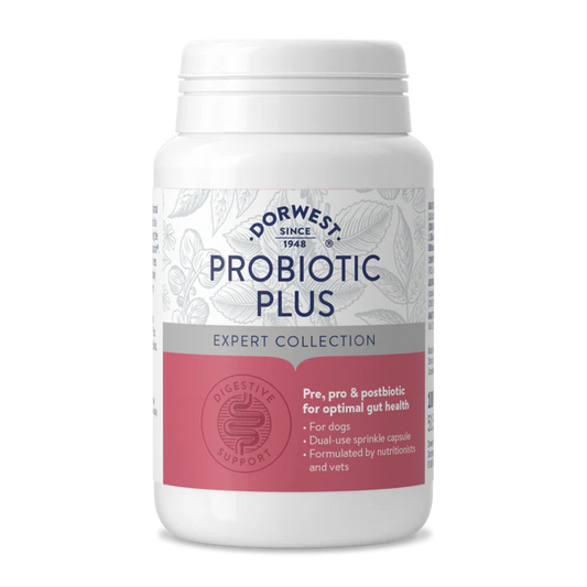 Probiotic Plus for Dogs
