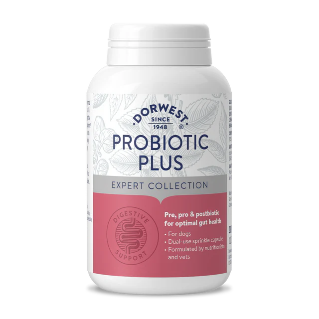 Probiotic Plus for Dogs