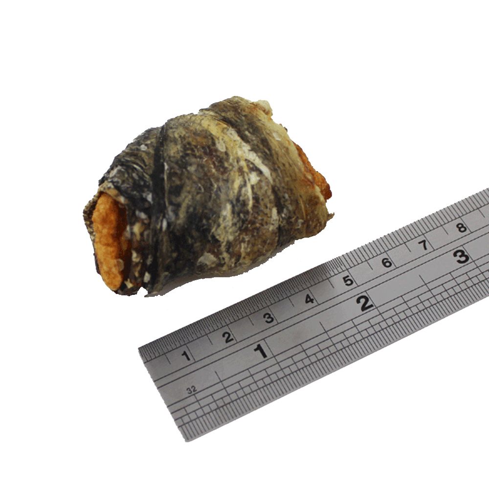 FISH4DOGS LOVE APPLE FISH WRAPS 100g