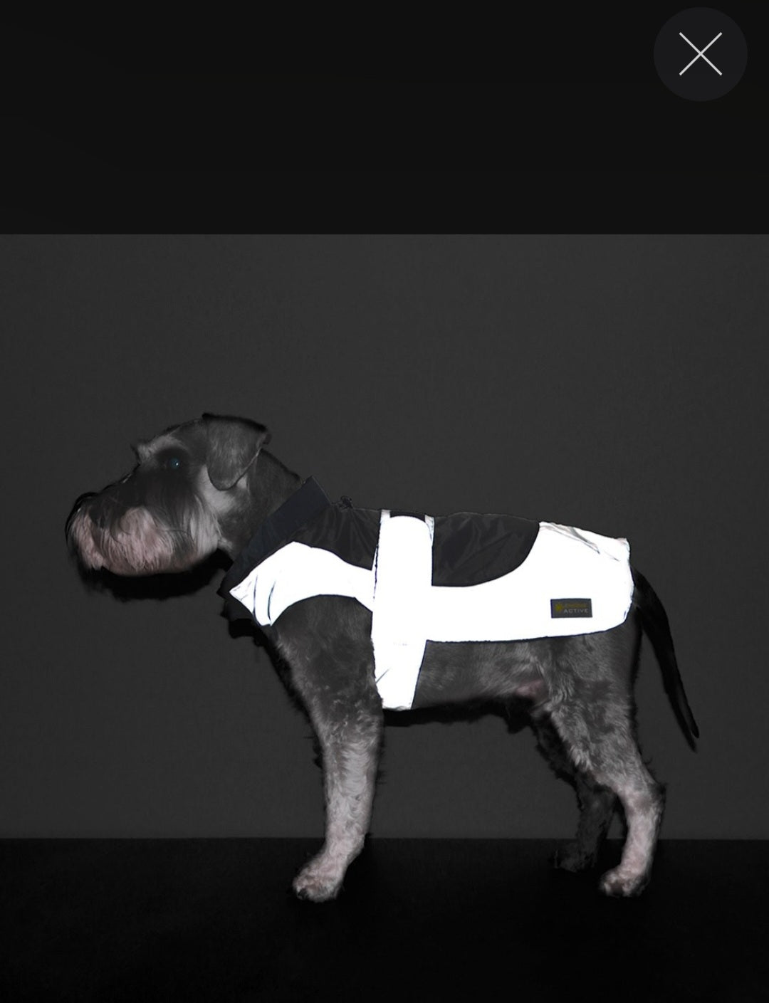 GREAT & SMALL ACTIVE REFLECTIVE COAT