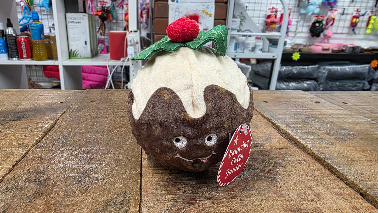 Ancol xmas pudding (CLEARANCE )