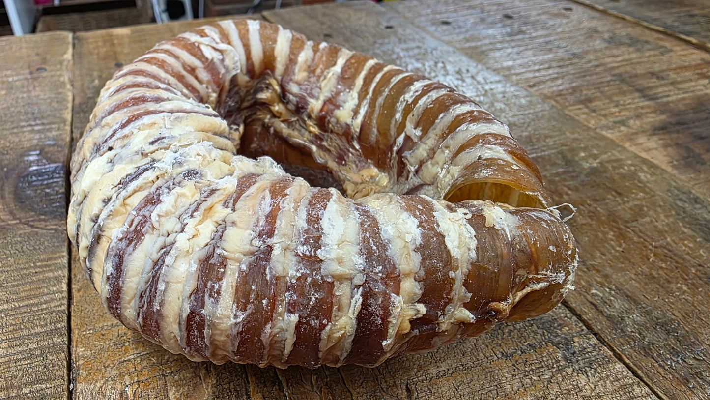 BEEF TRACHEA RING