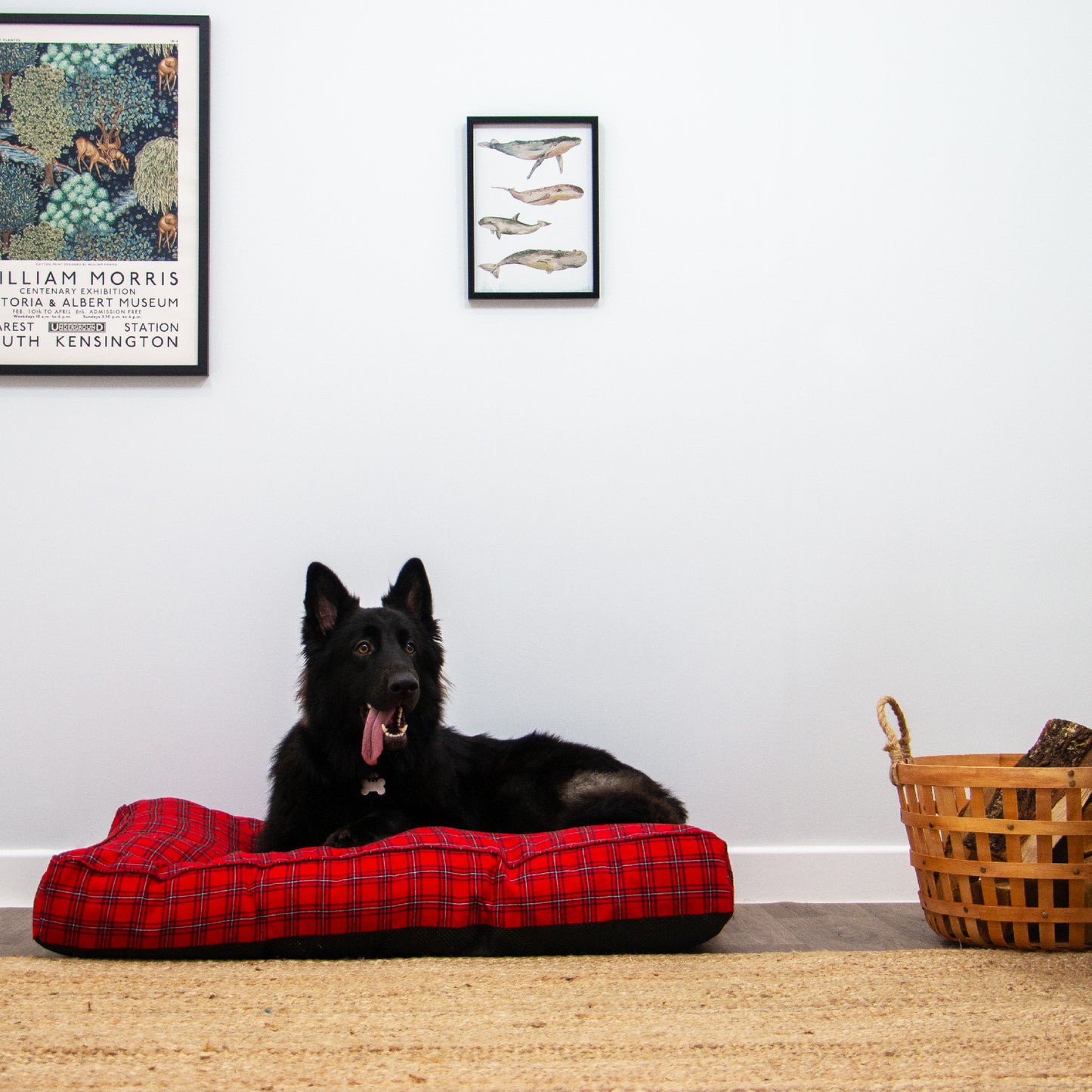 ANCOL RED TARTAN DONUT BED / MATRESS'S