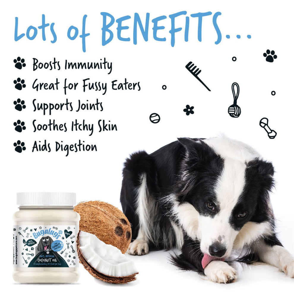 100% Natural Coconut Oil for Dogs
