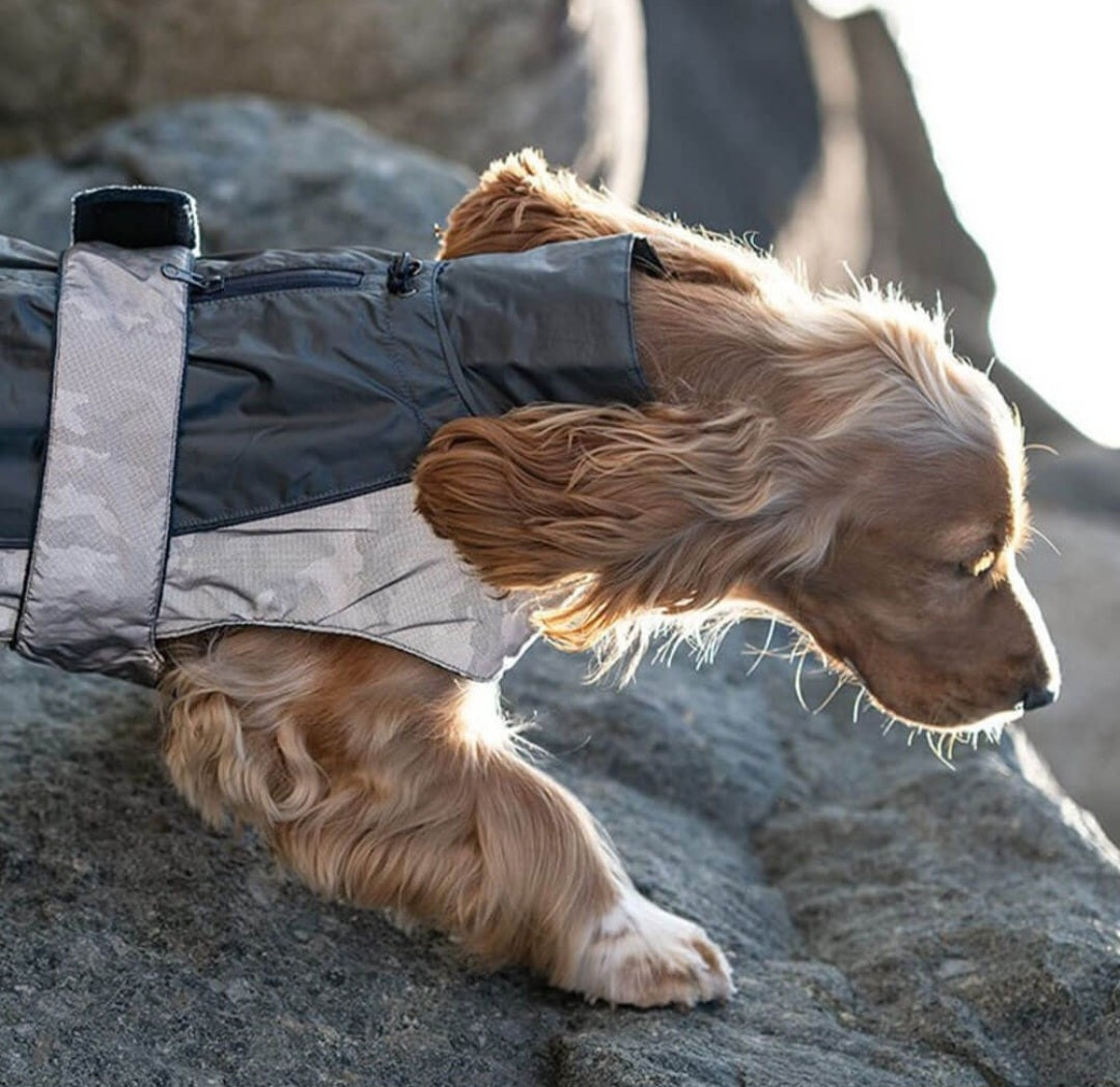 GREAT & SMALL ACTIVE REFLECTIVE COAT