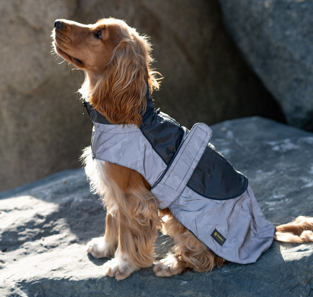 GREAT & SMALL ACTIVE REFLECTIVE COAT