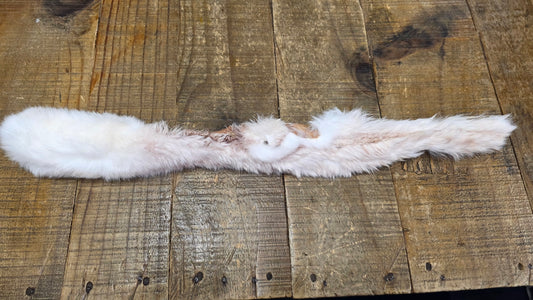 RABBIT SKIN WITH FUR