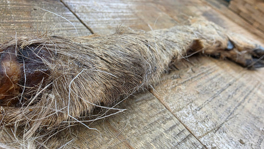 VENISON DEER LEG WITH HAIR